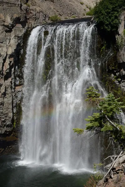 DSC_3821 (Large).JPG